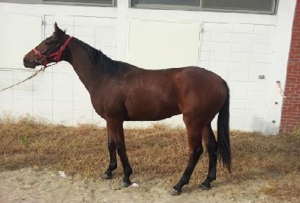 Ʈ��Ŭ��Ÿ ����