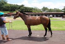 ���� (BAKU) ����