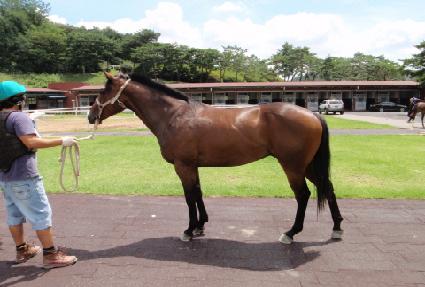 ���� ����