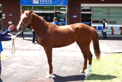 ���Ϻ�ġ ����