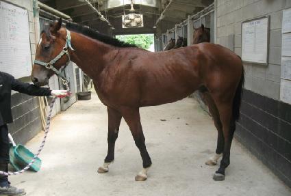 ����ǳ ����