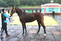 ������ (HYEONSUJAE) ����