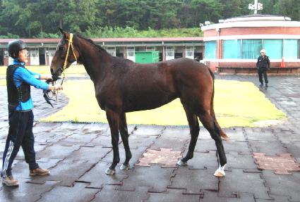 ������ ����