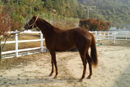 �������� ����