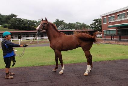 ��νô� ����