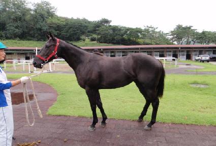 �������� ����