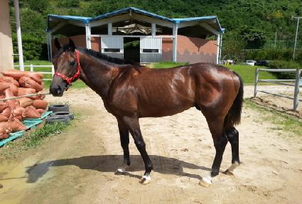 �����Ѱ��� ����