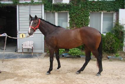 Ȳ�ݷ��� ����