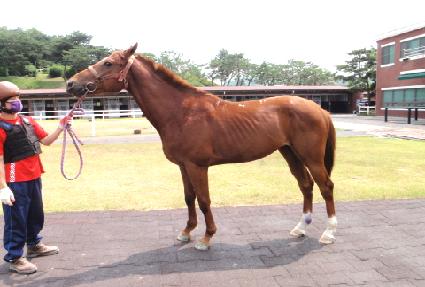 ������ ����