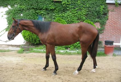 ��ȣ�ֿ� ����