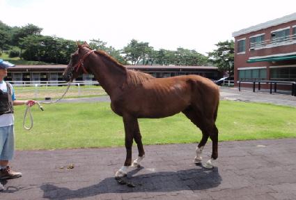 ��������� ����