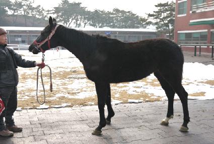 ����Ʈ�� ����