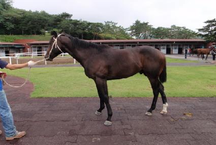 ��Ĺ ����