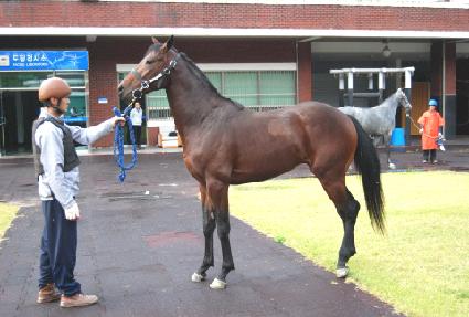 �������� ����