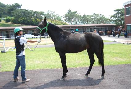 Ư������ ����