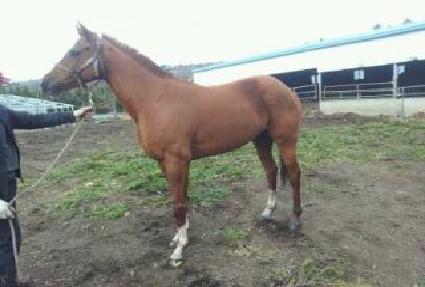 �ż����丮 ����