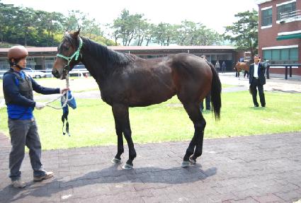 ���̼� ����