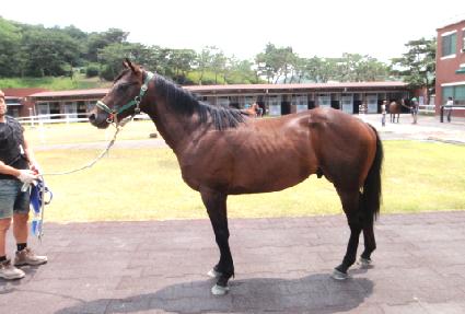 �̽����� ����