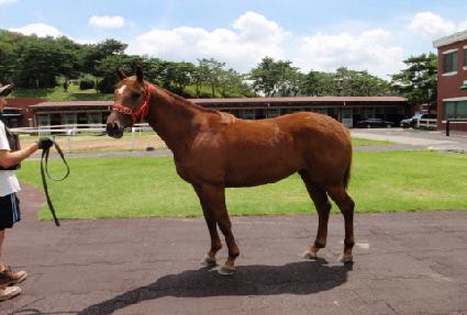 �����Ͻ��� ����