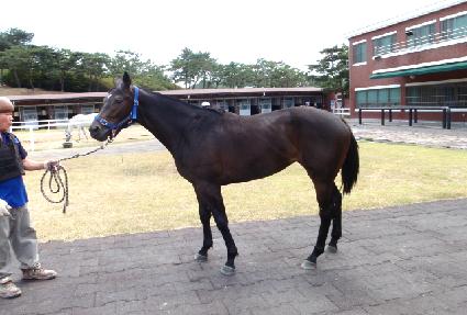 ��������� ����