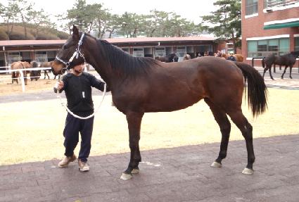 ���θ��׿콺 ����