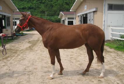 ��Ʈ�� ����