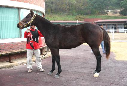 ���� ����