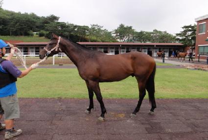 �ݺ����� ����