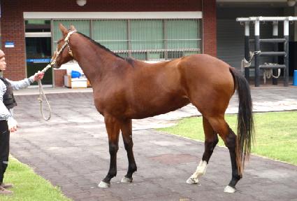 ��������Ʈ ����