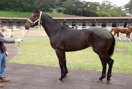 ���������� ����