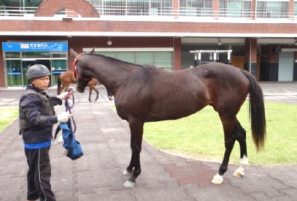 ����Ʈ���� ����