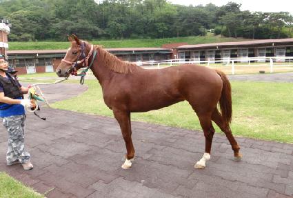 �ؾϸ��� ����