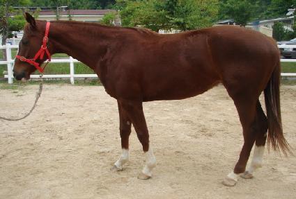 ���������� ����