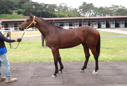 ������ ����