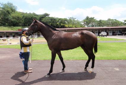 �������� ����