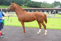 ����ʸ� (MYEONGSA SIMNI) ����