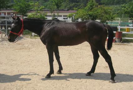 ����ǳ ����