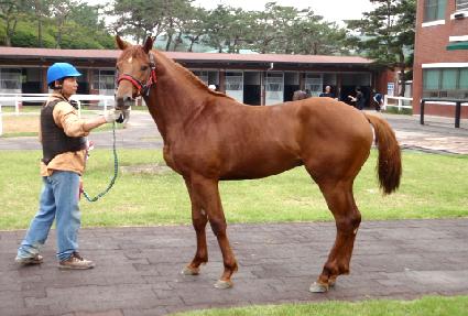 �������� ����