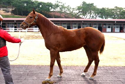 ������ ����