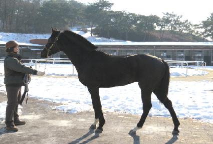 �ٶ��� ����