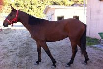 ��ũ�Ŀ� (DARK POWER) ����