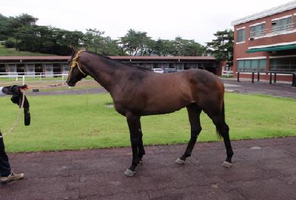 Ʈ����Ʋ�� ����