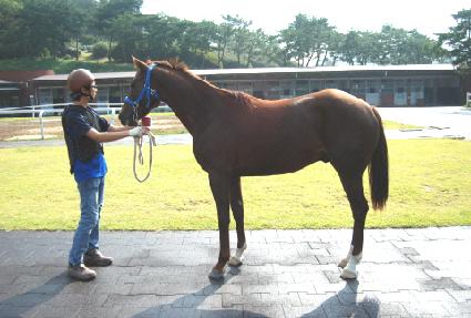 ���丮���� ����