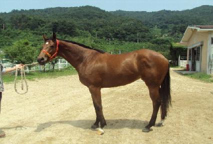 õ�⳪�� ����