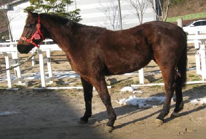 ��õ���� ����