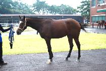 ��ġ (YECHI) ����