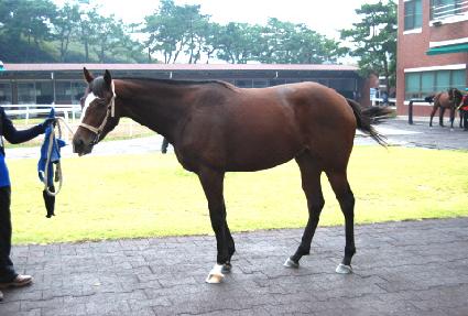 ��ġ ����