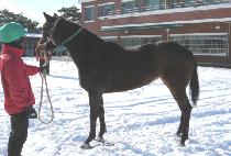 ��Ʈ����Ʈ (ART SPURT) ����