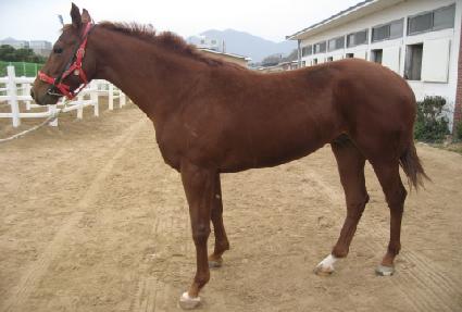 �θ��� ����