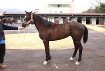 �����̺��� (SPY VICTOR) ����